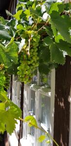 Gästewohnung Wasserzucht