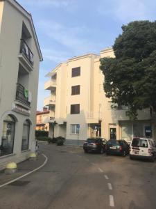 Apartment Franjo 