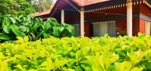 RAI COTTAGE @ Coorg ,Suntikoppa