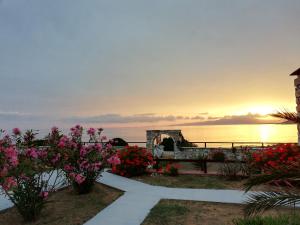 Ammoudia Studios Naxos Greece