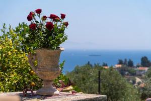 Entire Filitsa's Stonehouse in Paxos with terrace Paxoi Greece