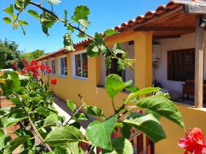 Casa Orion, Puntagorda - La Palma