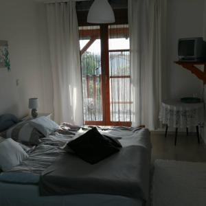 Pension D&aacute;vid Vend&eacute;gh&aacute;z Gyenesdi&aacute;s Hungary