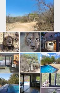 Lionsview Private Lodge - 6 Lions