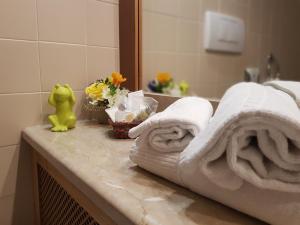 Standard Single Room room in Hotel Arcobaleno
