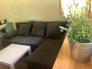 Cihlářka - horský apartmán