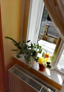 Apartment Villa Frank