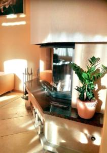 Apartment Villa Frank