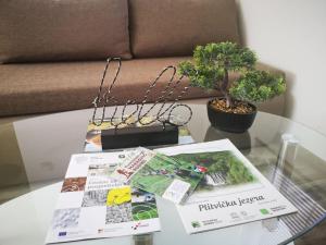 Apartman Borna 