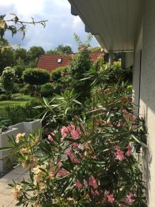 Villa "Auszeit"