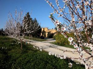 Pansion Agriturismo Le magnolie Loreto Aprutino Itaalia