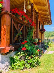 Etno Domaćinstvo Stanković