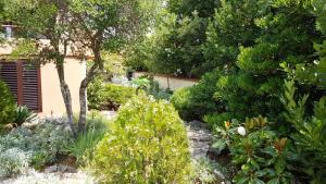 Apartments Villa Temer