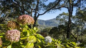 Casa Carneiro em Monte Verde