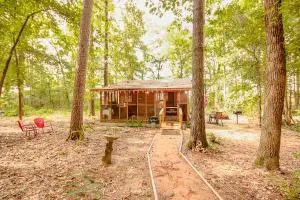 The Lazy Squirrel - تايلر