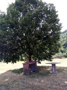 Appartements La nature : photos des chambres