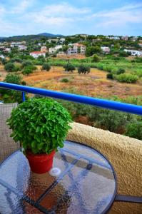 Vagia Beach Apartments, Aegina Island