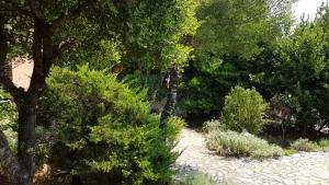 Apartments Villa Temer