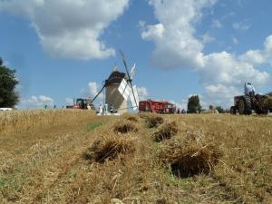 B&B / Chambres d'hotes U CAMPANA : photos des chambres