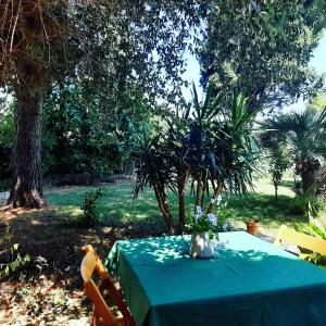 B&B L'amaca della felicità img18