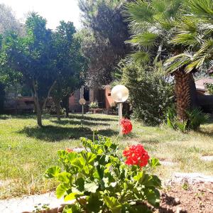 B&B L'amaca della felicità img16