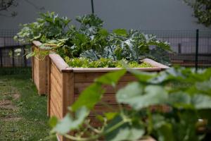 Apartments Razingar 9