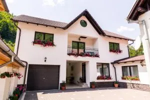 Vila Rodica Transalpina - Duri