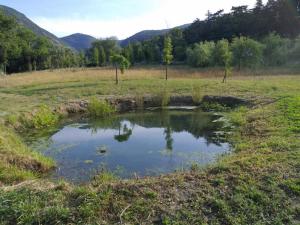 Lodges Les Chalets de Saint Maurice (Dieulefit) : photos des chambres