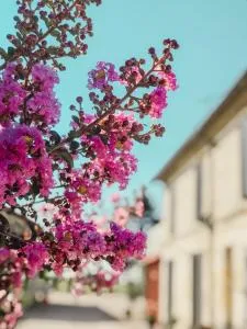 l'Orangerie de La Pontête - 贝沙克和凯洛