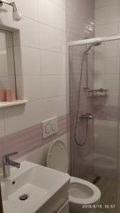 Deluxe Double Room with Balcony room in Apartments Racetin