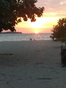 Ocean holiday - Balangnipa