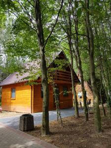 Agroturystyka "U Sochy"