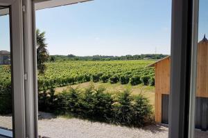 Appartements Charming duplex in the vines : photos des chambres