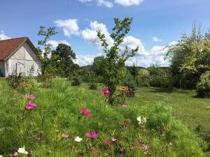 Na zielonej łące...