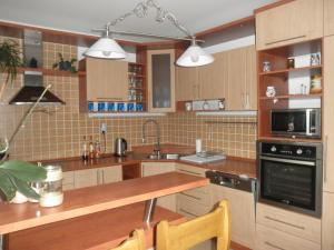 Apartament PENZION VLASTA Zlin Czechy