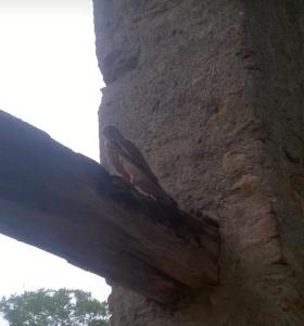 Cascina Carrata Casa Vacanze