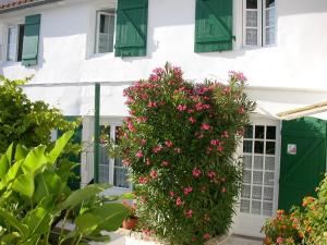 Maisons de vacances Locations de Vacances Le Clos Rhea : Appartement - Vue sur Jardin