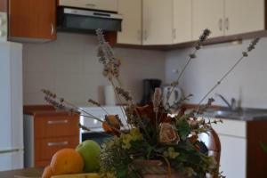 Apartman Renata