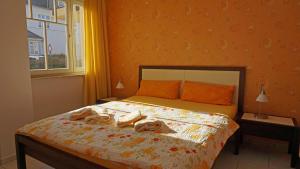 Villa _Duenen vis a_ vis_ _ strand