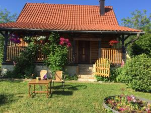 Brvnara za odmor Tara