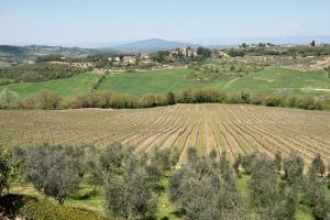 Agriturismo Casale Ugolini
