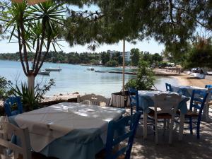 villa elisavet agios minas Evia Greece