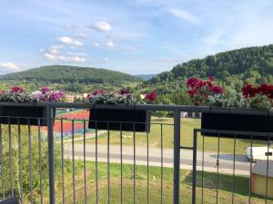 Apartamenty Cisza - Ustrzyki Dolne noclegi - Bieszczady noclegi
