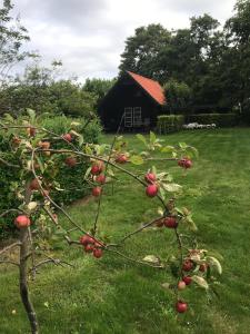 Polderhuus Galatheapolder