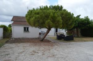 Maisons de vacances L'Acheneau : photos des chambres