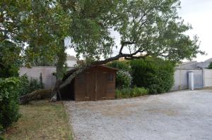 Maisons de vacances L'Acheneau : photos des chambres
