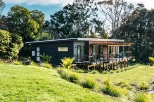 Putaki Bay - Kereru Villa - Be My Guest Waiheke - Putaki Bay