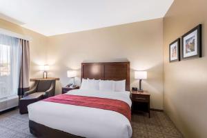 King Room - Accessible/Non-Smoking room in Comfort Inn & Suites Zion Park Area