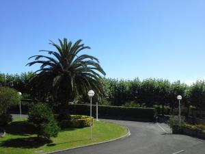 Apartamentos San Pedro en Llanes