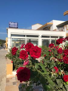 Anthoulis Studios Kos Greece
